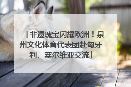 非遗瑰宝闪耀欧洲！泉州文化体育代表团赴匈牙利、塞尔维亚交流