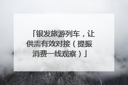 银发旅游列车，让供需有效对接（提振消费一线观察）