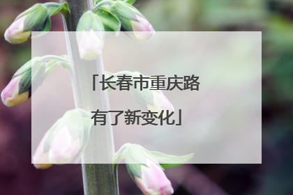 长春市重庆路有了新变化