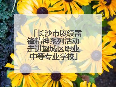 长沙市赓续雷锋精神系列活动走进望城区职业中等专业学校