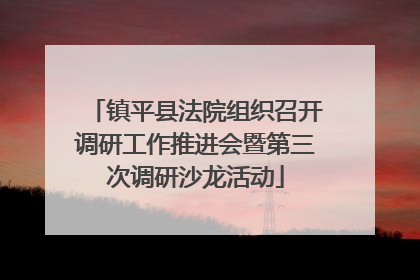 镇平县法院组织召开调研工作推进会暨第三次调研沙龙活动