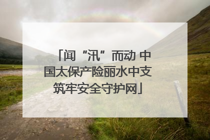 闻“汛”而动 中国太保产险丽水中支筑牢安全守护网