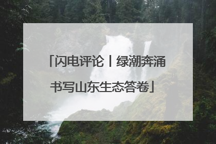 闪电评论丨绿潮奔涌 书写山东生态答卷