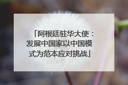 阿根廷驻华大使：发展中国家以中国模式为范本应对挑战