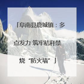 阜南县鹿城镇：多点发力 筑牢秸秆禁烧“防火墙”