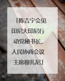 陈吉宁会见印尼大印尼行动党秘书长、人民协商会议主席穆扎尼