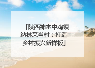 陕西神木中鸡镇纳林采当村：打造乡村振兴新样板