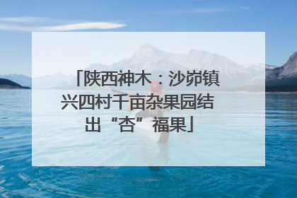 陕西神木：沙峁镇兴四村千亩杂果园结出“杏”福果