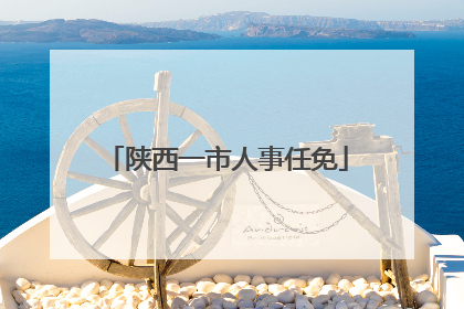 陕西一市人事任免