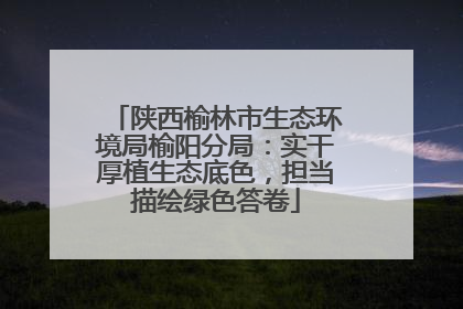 陕西榆林市生态环境局榆阳分局：实干厚植生态底色，担当描绘绿色答卷