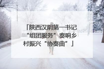 陕西汉阴第一书记“组团服务”奏响乡村振兴“协奏曲”