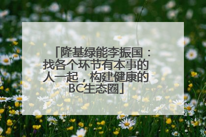 隆基绿能李振国：找各个环节有本事的人一起，构建健康的BC生态圈