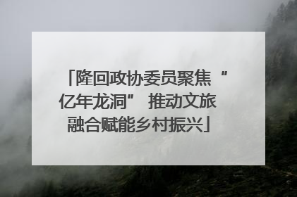 隆回政协委员聚焦“亿年龙洞” 推动文旅融合赋能乡村振兴