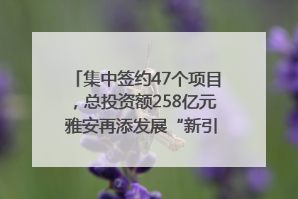 集中签约47个项目，总投资额258亿元 雅安再添发展“新引擎”｜数读西投