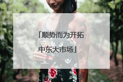 顺势而为开拓中东大市场