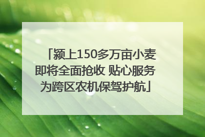 颍上150多万亩小麦即将全面抢收 贴心服务为跨区农机保驾护航