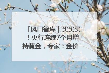 风口智库｜买买买！央行连续7个月增持黄金，专家：金价或仍易涨难跌
