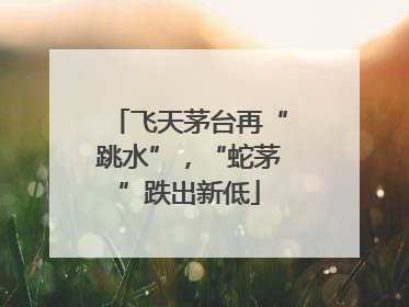 飞天茅台再“跳水”，“蛇茅”跌出新低