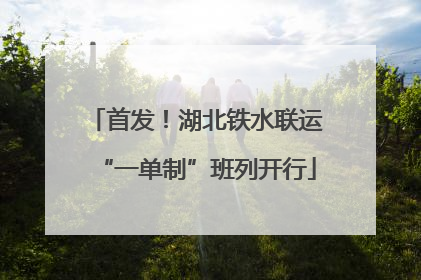 首发！湖北铁水联运“一单制”班列开行