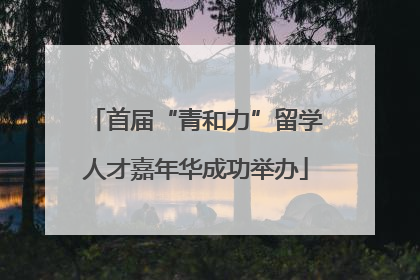 首届“青和力”留学人才嘉年华成功举办