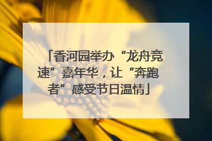 香河园举办“龙舟竞速”嘉年华，让“奔跑者”感受节日温情