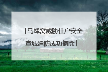 马蜂窝威胁住户安全 宣城消防成功摘除