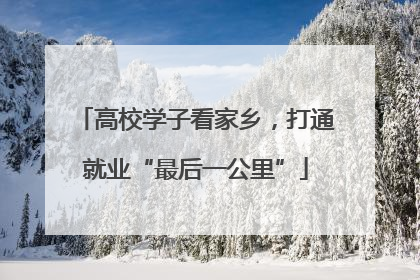 高校学子看家乡，打通就业“最后一公里”