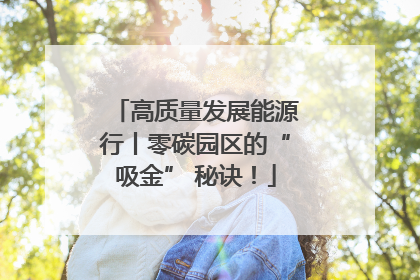高质量发展能源行丨零碳园区的“吸金” 秘诀！
