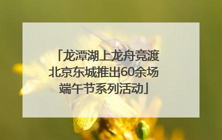 龙潭湖上龙舟竞渡 北京东城推出60余场端午节系列活动