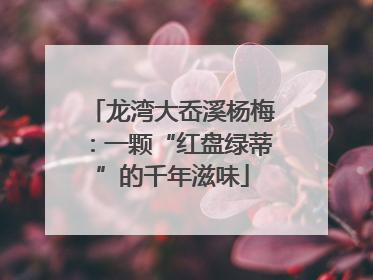龙湾大岙溪杨梅：一颗“红盘绿蒂”的千年滋味