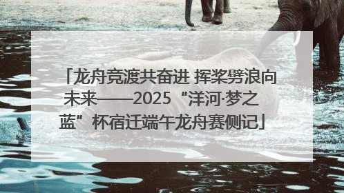 龙舟竞渡共奋进 挥桨劈浪向未来——2025“洋河·梦之蓝”杯宿迁端午龙舟赛侧记