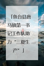鱼台县唐马镇第一书记工作队助力“三夏生产”