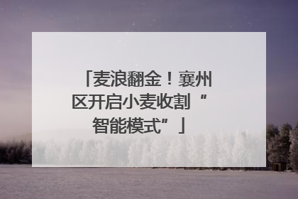 麦浪翻金！襄州区开启小麦收割“智能模式”