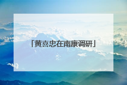 黄喜忠在南康调研