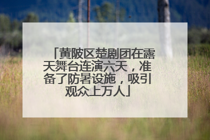 黄陂区楚剧团在露天舞台连演六天，准备了防暑设施，吸引观众上万人