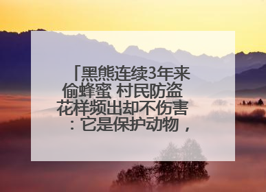 黑熊连续3年来偷蜂蜜 村民防盗花样频出却不伤害：它是保护动物，我有保险兜底