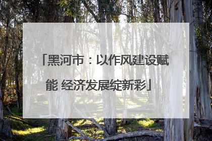 黑河市：以作风建设赋能 经济发展绽新彩