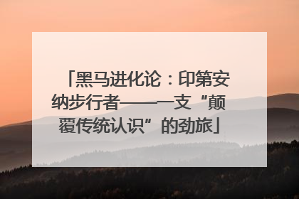 黑马进化论：印第安纳步行者——一支“颠覆传统认识”的劲旅