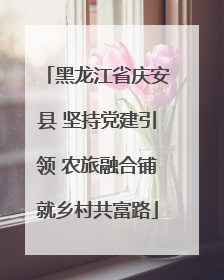 黑龙江省庆安县 坚持党建引领 农旅融合铺就乡村共富路