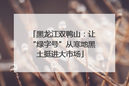 黑龙江双鸭山：让“绿字号”从寒地黑土挺进大市场
