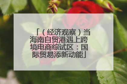 （经济观察）当海南自贸港遇上跨境电商综试区：国际贸易添新动能