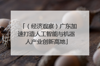 （经济观察）广东加速打造人工智能与机器人产业创新高地