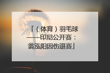 （体育）羽毛球——印尼公开赛：翁泓阳因伤退赛