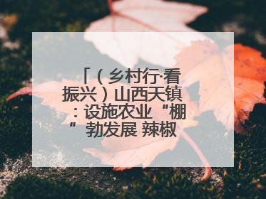 （乡村行·看振兴）山西天镇：设施农业“棚”勃发展 辣椒产业蓄势待发