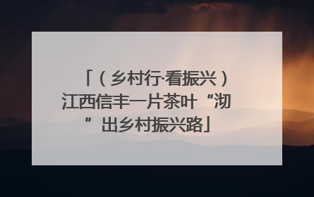 （乡村行·看振兴）江西信丰一片茶叶“沏”出乡村振兴路