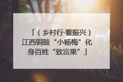 （乡村行·看振兴）江西铜鼓“小杨梅”化身百姓“致富果”