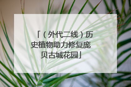 （外代二线）历史植物助力修复庞贝古城花园