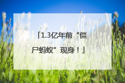 1.3亿年前“僵尸蚂蚁”现身！