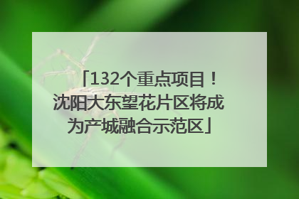 132个重点项目！沈阳大东望花片区将成为产城融合示范区