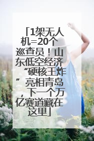 1架无人机=20个巡查员！山东低空经济“硬核王炸”亮相青岛，下一个万亿赛道藏在这里